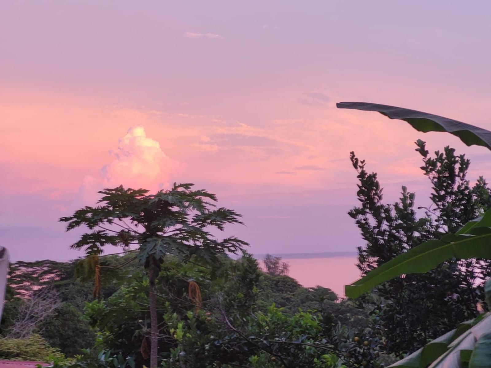 Tandif Villa Sea View タカマカ エクステリア 写真